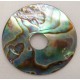 060 Paua Shell 2